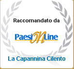 paesi on line